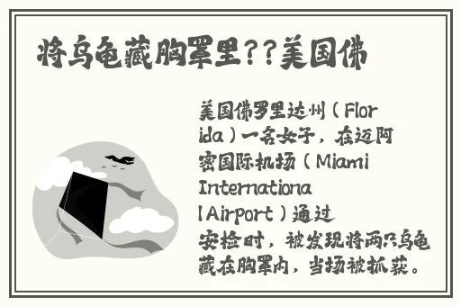 迈开腿打扑克